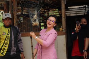 Bupati Karolin Panen Udang Galah di Sungai Landak