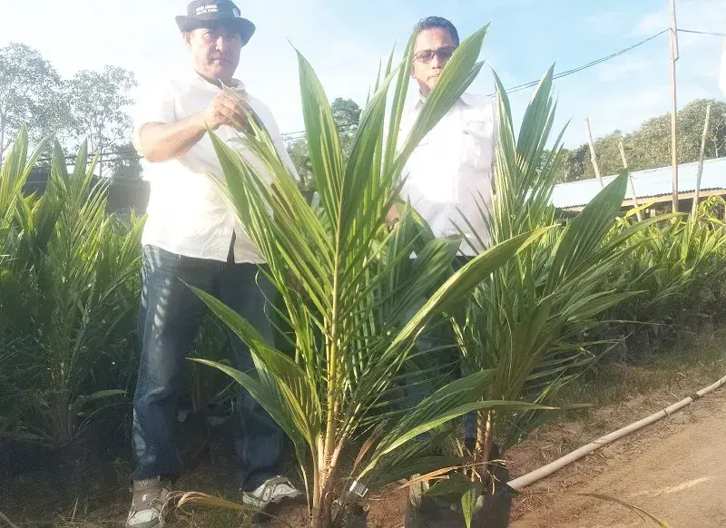 Tudingan tumpang tindih IP3K dan PSR di Sekadau dibantah Ifan Nurfatria. Kedua program berbeda sumber anggaran dan pengelolaannya.