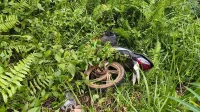 Honda Blade yang sempat dikira hilang usai kecelakaan di Nanga Taman, Sekadau, akhirnya ditemukan polisi di semak-semak dekat lokasi tabrakan.