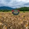 Pemprov Kalbar memperkuat gerakan tanam jagung hibrida untuk mendukung swasembada pangan 2026 dengan melibatkan pemerintah daerah, petani, TNI, dan Polri.
